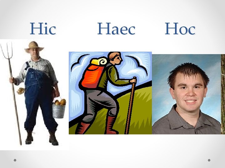 Hic Haec Hoc 