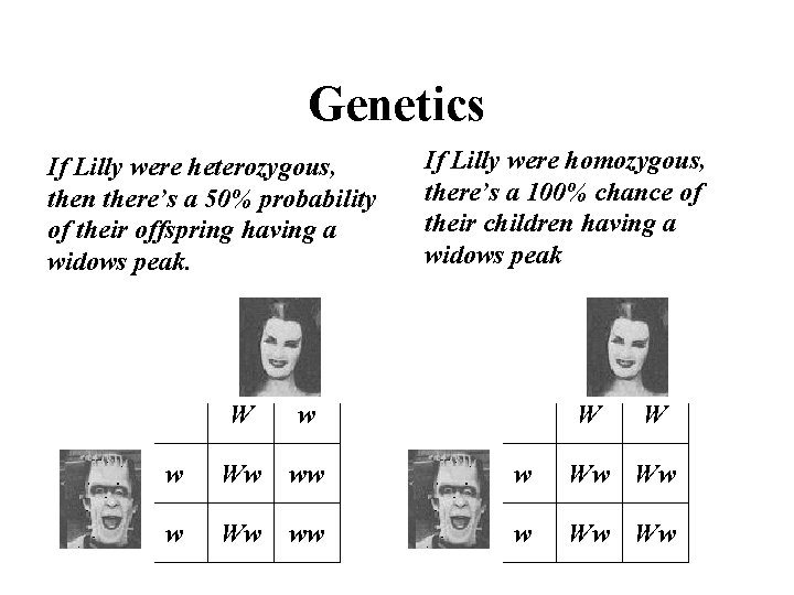 Genetics If Lilly were heterozygous, then there’s a 50% probability of their offspring having