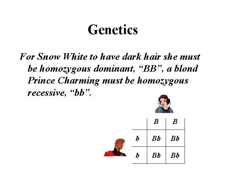 Genetics For Snow White to have dark hair she must be homozygous dominant, “BB”,