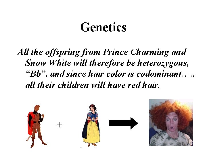 Genetics All the offspring from Prince Charming and Snow White will therefore be heterozygous,