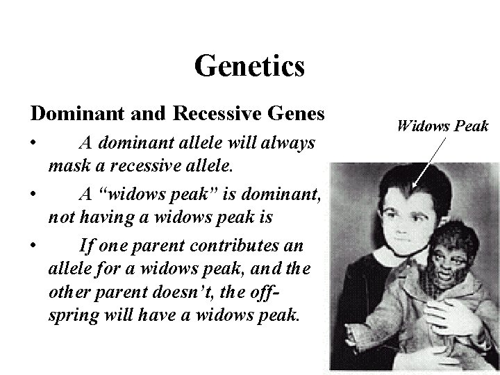 Genetics Dominant and Recessive Genes • A dominant allele will always mask a recessive