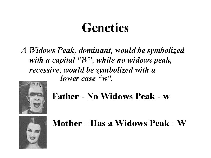 Genetics A Widows Peak, dominant, would be symbolized with a capital “W”, while no