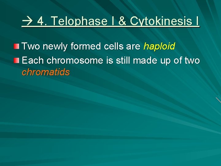  4. Telophase I & Cytokinesis I Two newly formed cells are haploid Each