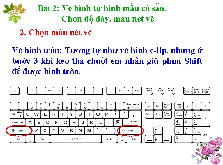 Bài 2: Vẽ hình từ hình mẫu có sẵn. Chọn độ dày, màu nét