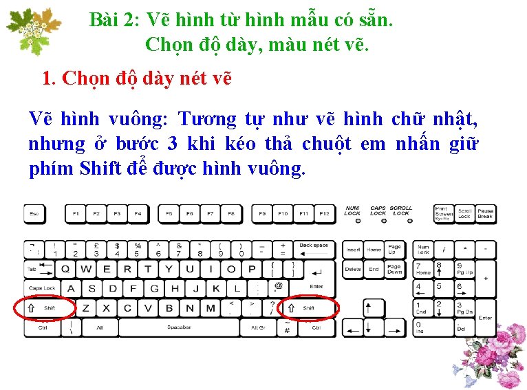 Bài 2: Vẽ hình từ hình mẫu có sẵn. Chọn độ dày, màu nét