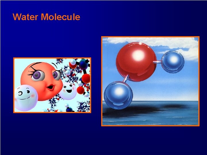 Water Molecule 