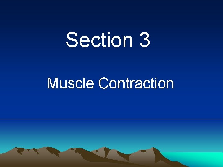 Section 3 Muscle Contraction 