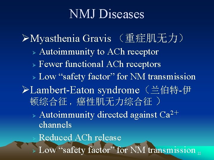 NMJ Diseases ØMyasthenia Gravis （重症肌无力） Autoimmunity to ACh receptor Ø Fewer functional ACh receptors