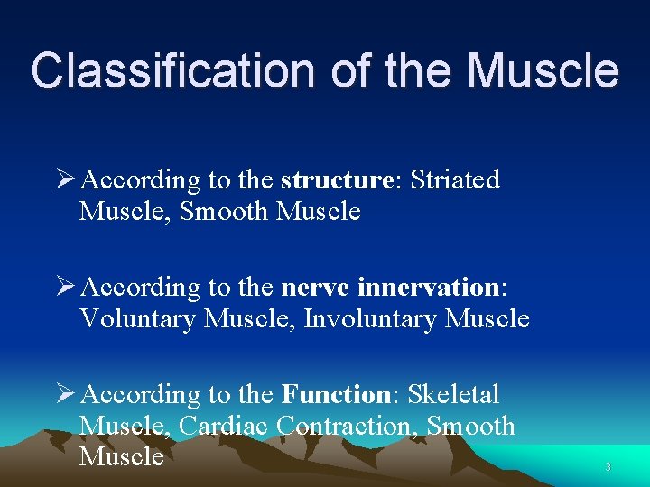 Classification of the Muscle Ø According to the structure: Striated Muscle, Smooth Muscle Ø