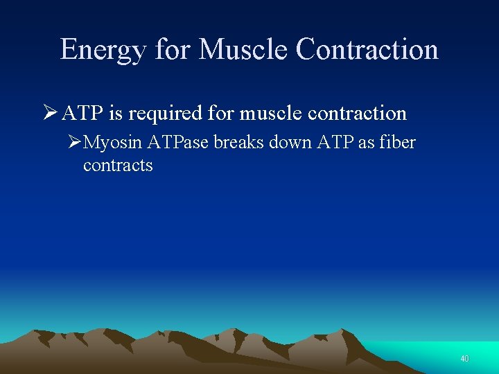 Energy for Muscle Contraction Ø ATP is required for muscle contraction ØMyosin ATPase breaks