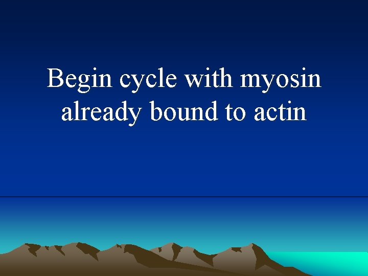 Begin cycle with myosin already bound to actin 