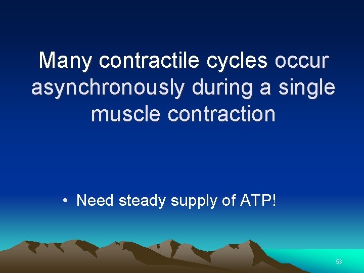 Many contractile cycles occur asynchronously during a single muscle contraction • Need steady supply