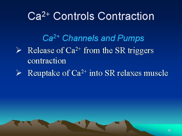 Ca 2+ Controls Contraction Ca 2+ Channels and Pumps Ø Release of Ca 2+