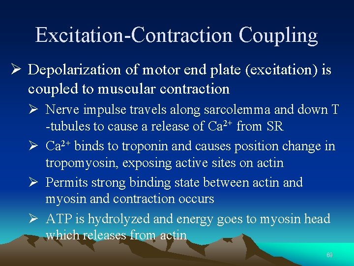 Excitation-Contraction Coupling Ø Depolarization of motor end plate (excitation) is coupled to muscular contraction