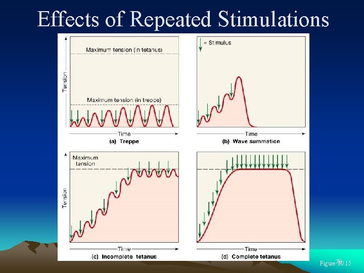 Effects of Repeated Stimulations Figure 76 10. 15 