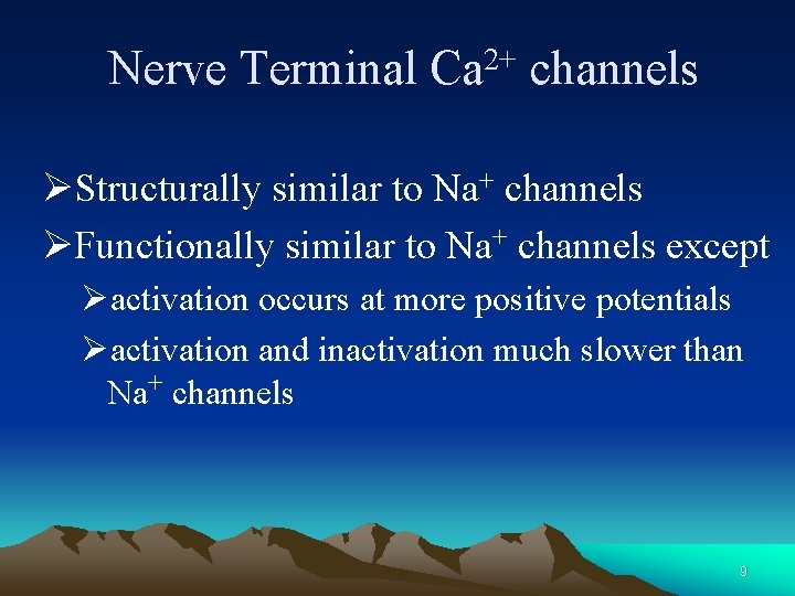 Nerve Terminal 2+ Ca channels ØStructurally similar to Na+ channels ØFunctionally similar to Na+