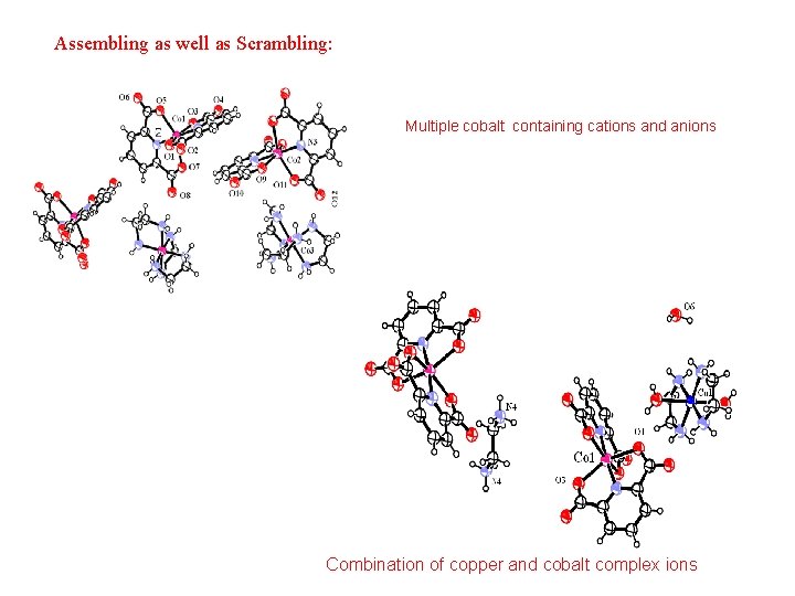 Assembling as well as Scrambling: Multiple cobalt containing cations and anions Combination of copper Assembling as well as Scrambling: Multiple cobalt containing cations and anions Combination of copper