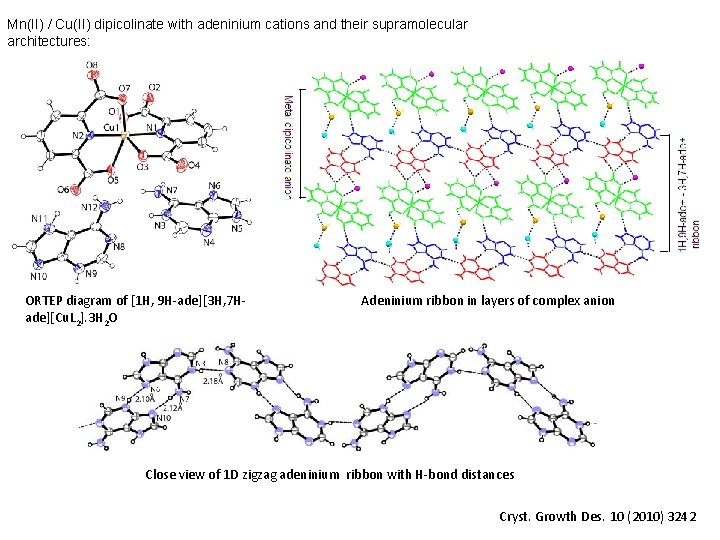 Mn(II) / Cu(II) dipicolinate with adeninium cations and their supramolecular architectures: ORTEP diagram of Mn(II) / Cu(II) dipicolinate with adeninium cations and their supramolecular architectures: ORTEP diagram of