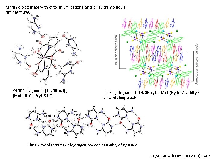 Mn(II)-dipicolinate with cytosinium cations and its supramolecular architectures: ORTEP diagram of [1 H, 3 Mn(II)-dipicolinate with cytosinium cations and its supramolecular architectures: ORTEP diagram of [1 H, 3