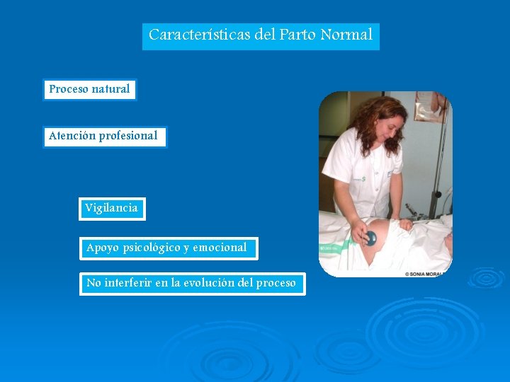 Características del Parto Normal Proceso natural Atención profesional Vigilancia Apoyo psicológico y emocional No