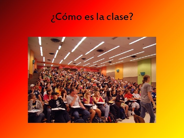 ¿Cómo es la clase? 