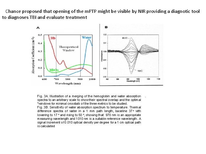 Chance proposed that opening of the m. PTP might be visible by NIR providing Chance proposed that opening of the m. PTP might be visible by NIR providing