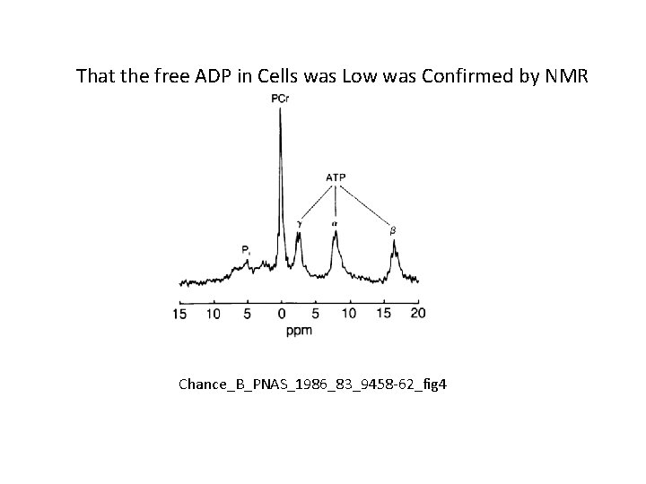 That the free ADP in Cells was Low was Confirmed by NMR Chance_B_PNAS_1986_83_9458 -62_fig That the free ADP in Cells was Low was Confirmed by NMR Chance_B_PNAS_1986_83_9458 -62_fig