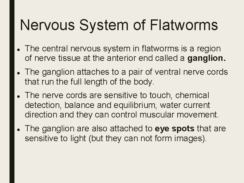 Nervous System of Flatworms The central nervous system in flatworms is a region of Nervous System of Flatworms The central nervous system in flatworms is a region of