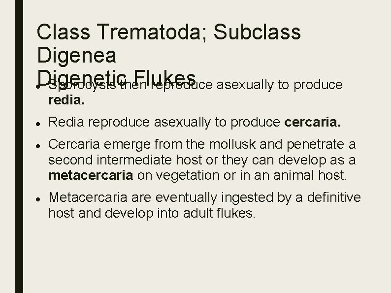 Class Trematoda; Subclass Digenea Digenetic Flukes Sporocysts then reproduce asexually to produce redia. Redia Class Trematoda; Subclass Digenea Digenetic Flukes Sporocysts then reproduce asexually to produce redia. Redia
