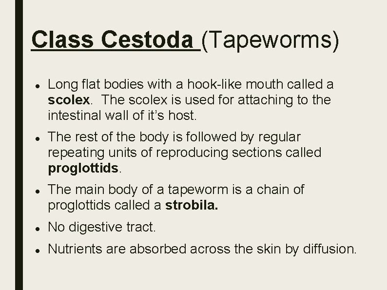 Class Cestoda (Tapeworms) Long flat bodies with a hook-like mouth called a scolex. The Class Cestoda (Tapeworms) Long flat bodies with a hook-like mouth called a scolex. The