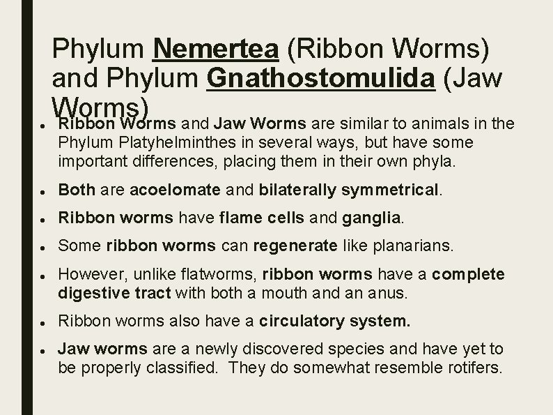 Phylum Nemertea (Ribbon Worms) and Phylum Gnathostomulida (Jaw Worms) Ribbon Worms and Jaw Phylum Nemertea (Ribbon Worms) and Phylum Gnathostomulida (Jaw Worms) Ribbon Worms and Jaw