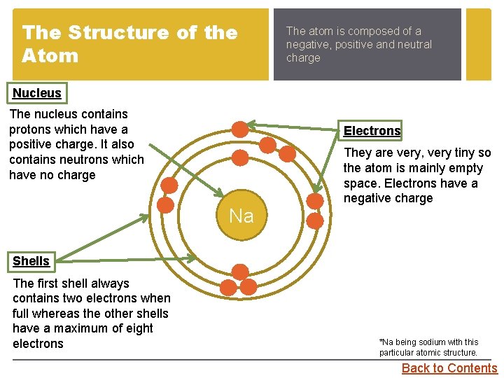 The Structure of the Atom The atom is composed of a negative, positive and