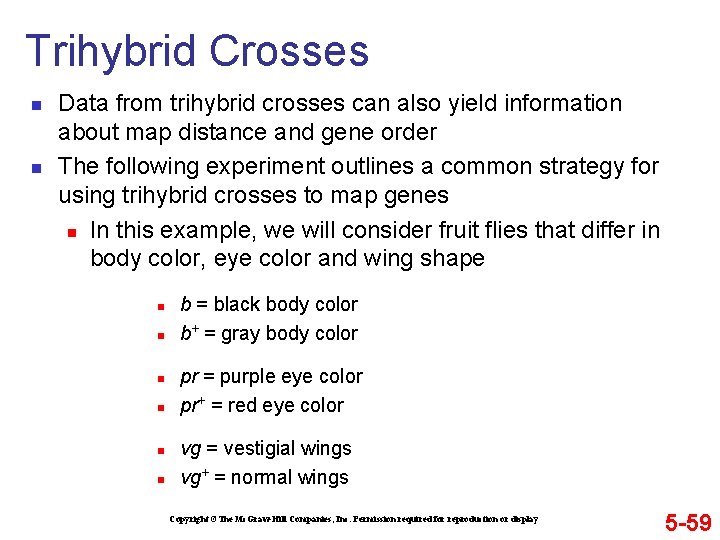 Trihybrid Crosses n n Data from trihybrid crosses can also yield information about map