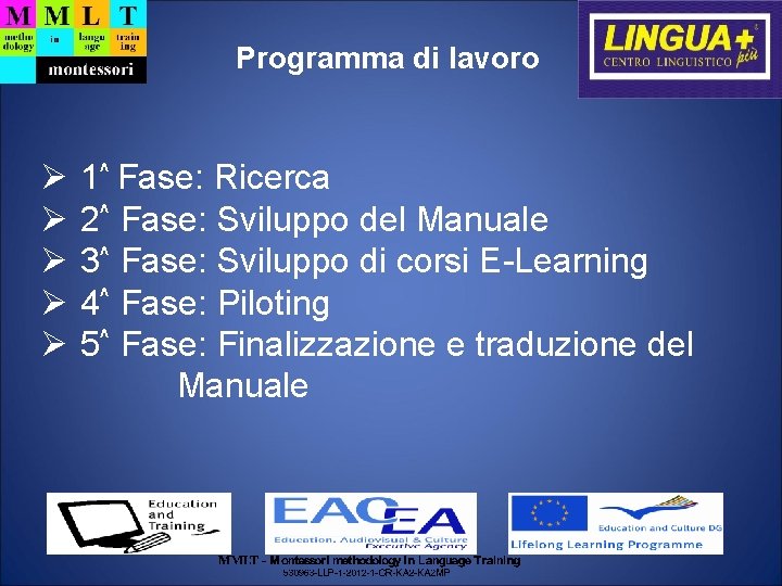 Programma di lavoro 1^ Fase: Ricerca 2^ Fase: Sviluppo del Manuale 3^ Fase: Sviluppo