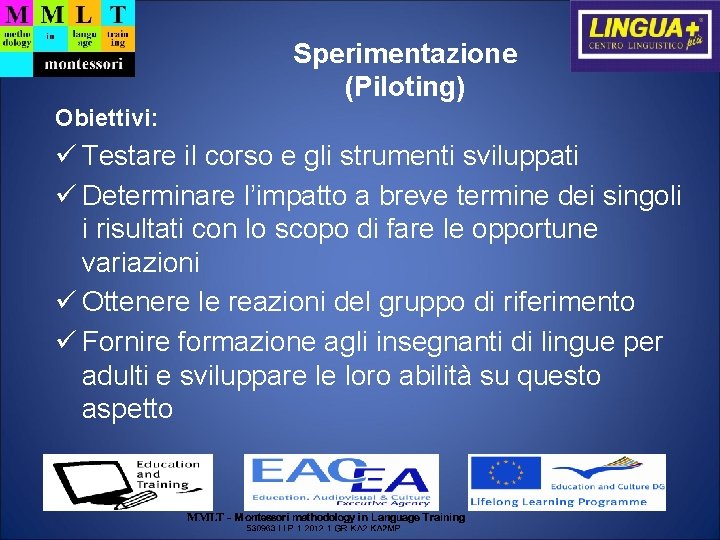 Sperimentazione (Piloting) Obiettivi: Testare il corso e gli strumenti sviluppati Determinare l’impatto a breve