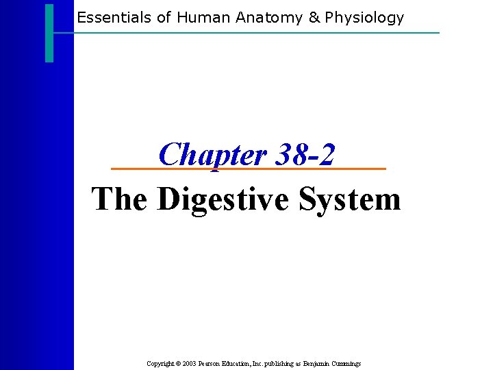 Essentials of Human Anatomy & Physiology Chapter 38 -2 The Digestive System Copyright ©