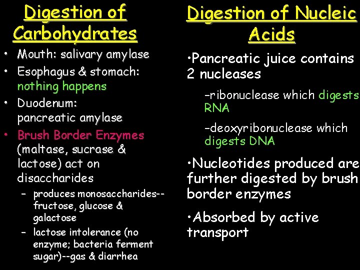 Digestion of Carbohydrates • Mouth: salivary amylase • Esophagus & stomach: nothing happens •