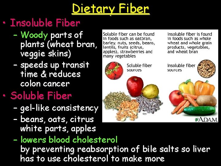 Dietary Fiber • Insoluble Fiber – Woody parts of plants (wheat bran, veggie skins)