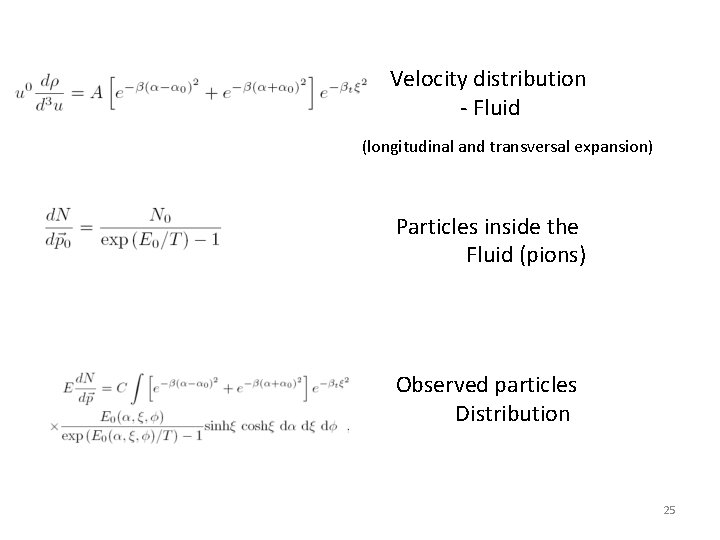 Velocity distribution - Fluid (longitudinal and transversal expansion) Particles inside the Fluid (pions) Observed