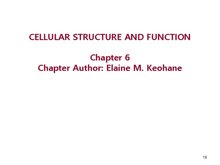 CELLULAR STRUCTURE AND FUNCTION Chapter 6 Chapter Author: Elaine M. Keohane 19 