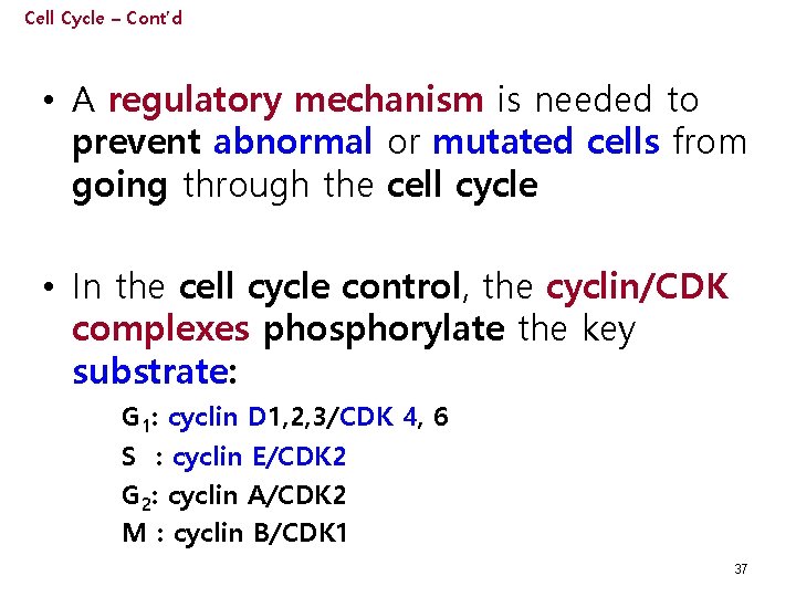 Cell Cycle – Cont’d • A regulatory mechanism is needed to prevent abnormal or