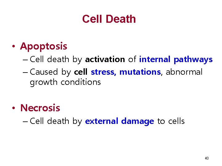 Cell Death • Apoptosis – Cell death by activation of internal pathways – Caused