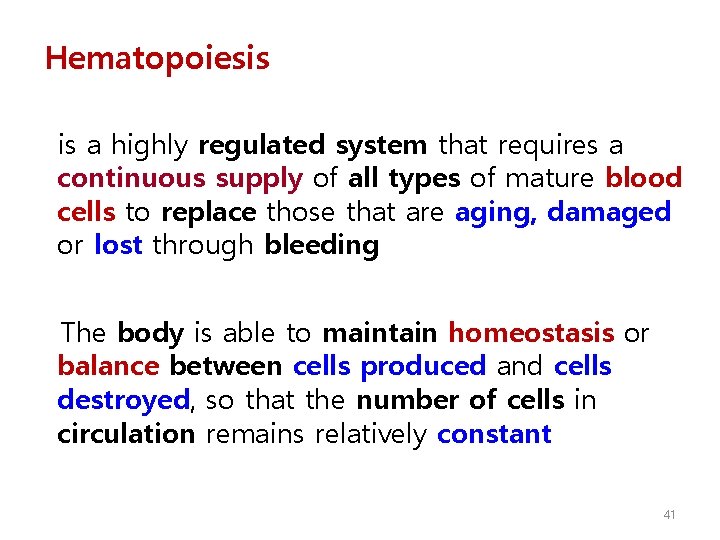 Hematopoiesis is a highly regulated system that requires a continuous supply of all types