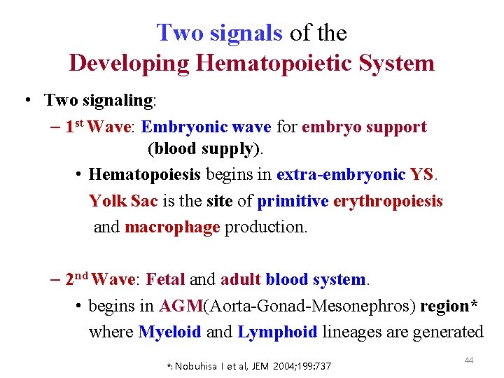 Two signals of the Developing Hematopoietic System • Two signaling: – 1 st Wave: