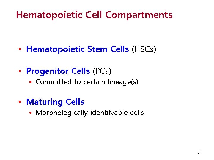 Hematopoietic Cell Compartments • Hematopoietic Stem Cells (HSCs) • Progenitor Cells (PCs) • Committed