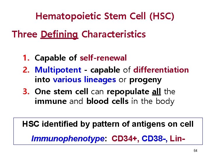 Hematopoietic Stem Cell (HSC) Three Defining Characteristics 1. Capable of self-renewal 2. Multipotent -