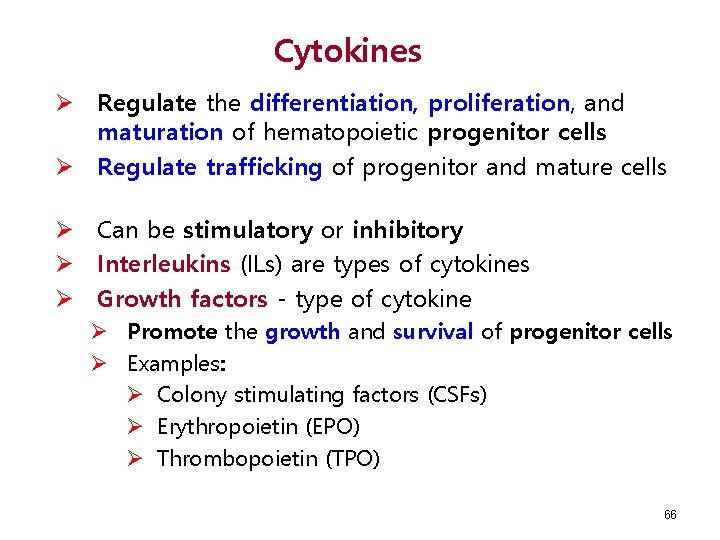 Cytokines Ø Regulate the differentiation, proliferation, and maturation of hematopoietic progenitor cells Ø Regulate