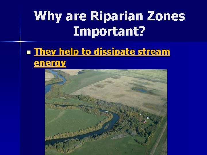 Why are Riparian Zones Important? n They help to dissipate stream energy 