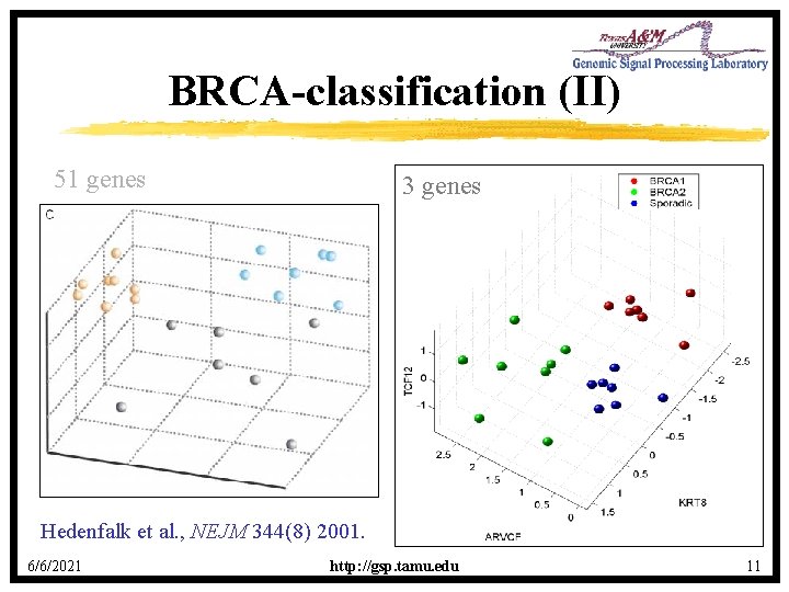BRCA-classification (II) 51 genes 3 genes Hedenfalk et al. , NEJM 344(8) 2001. 6/6/2021