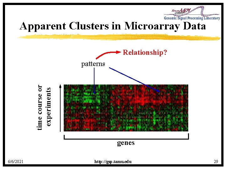 Apparent Clusters in Microarray Data Relationship? time course or experiments patterns genes 6/6/2021 http: